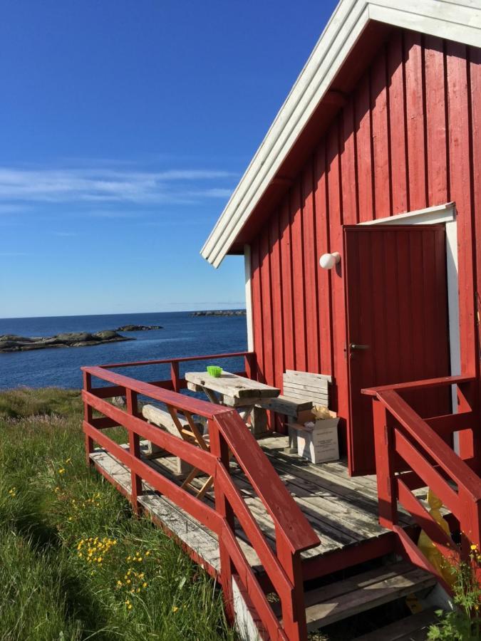 Rorbua Pa Toppoya Reine Exteriör bild